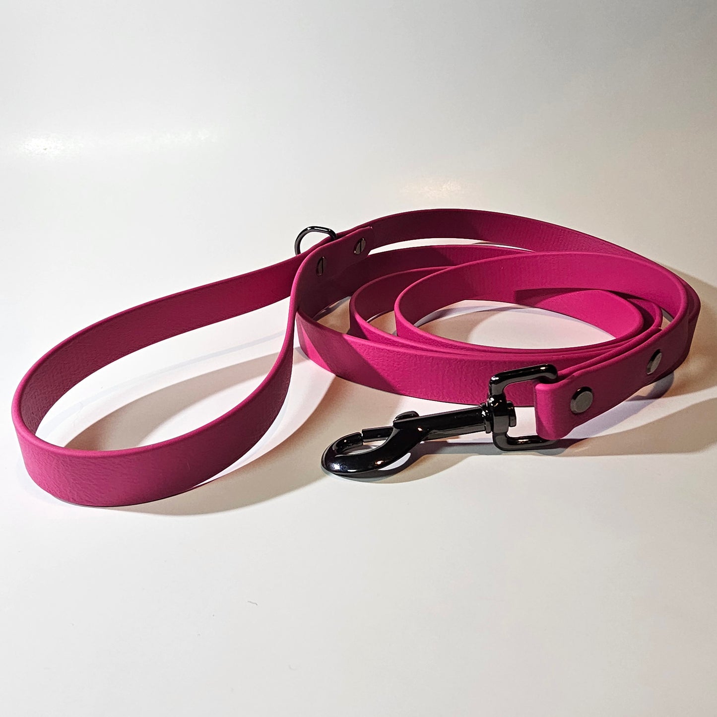 WDG Biothane Camp 6' Snap Leash
