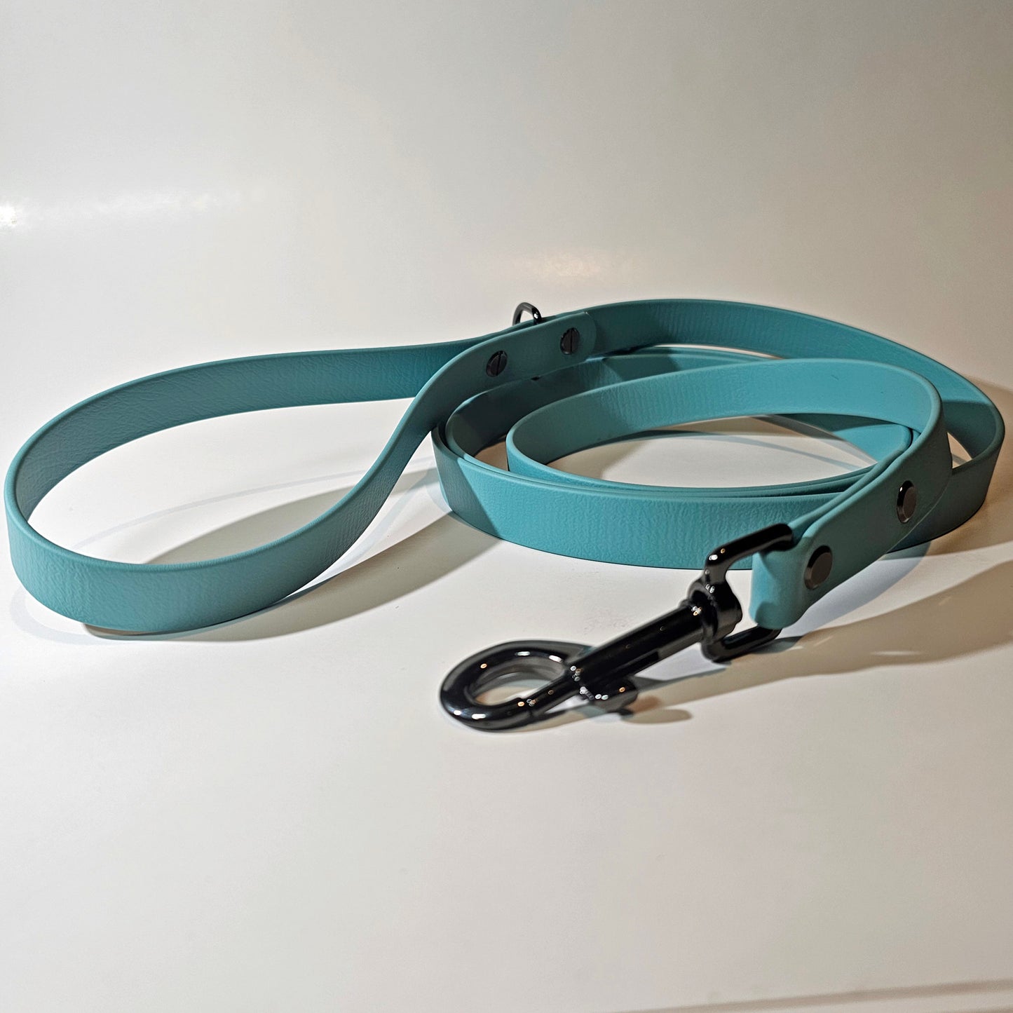 WDG Biothane Camp 6' Snap Leash