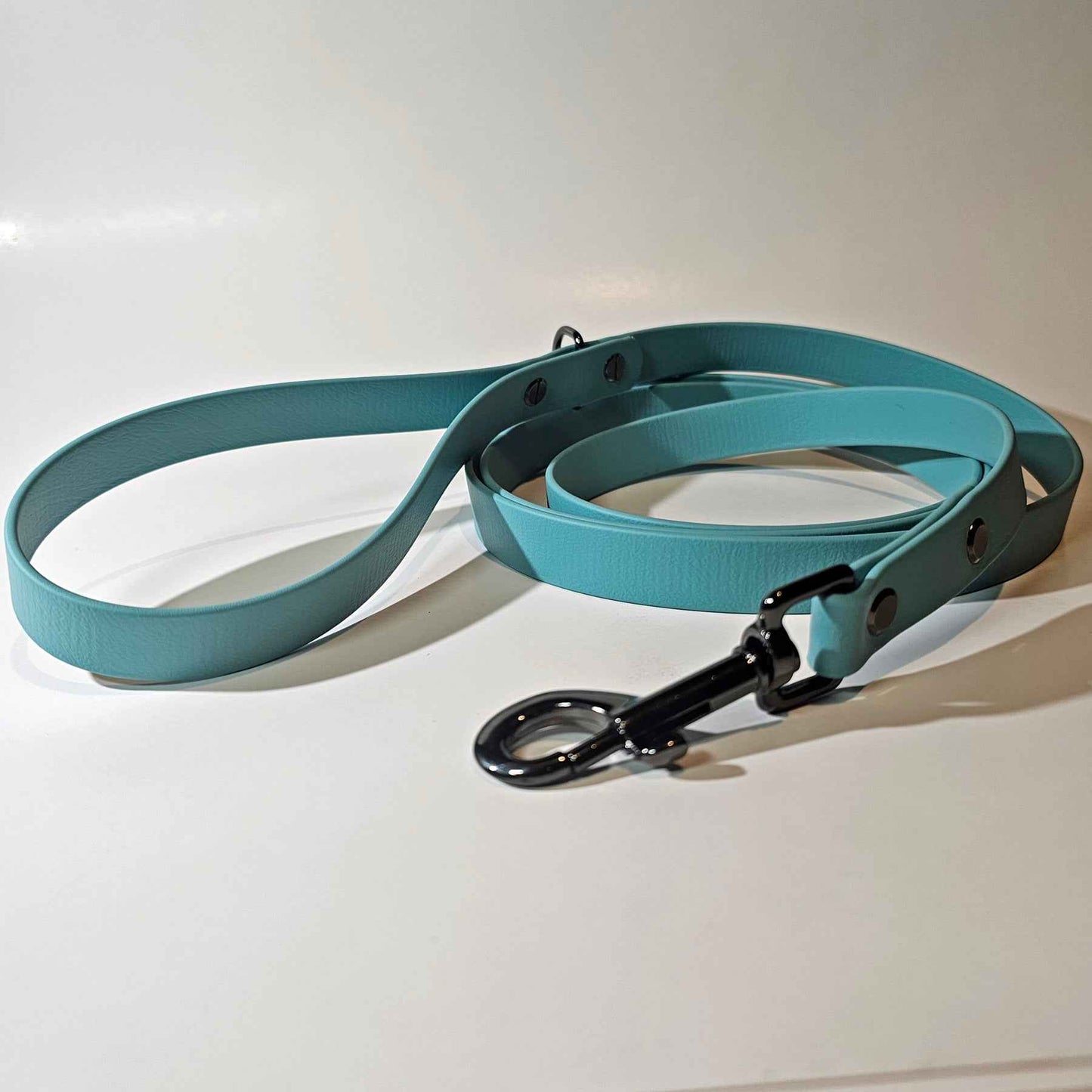 WDG Biothane® Camp 6' Snap Leash