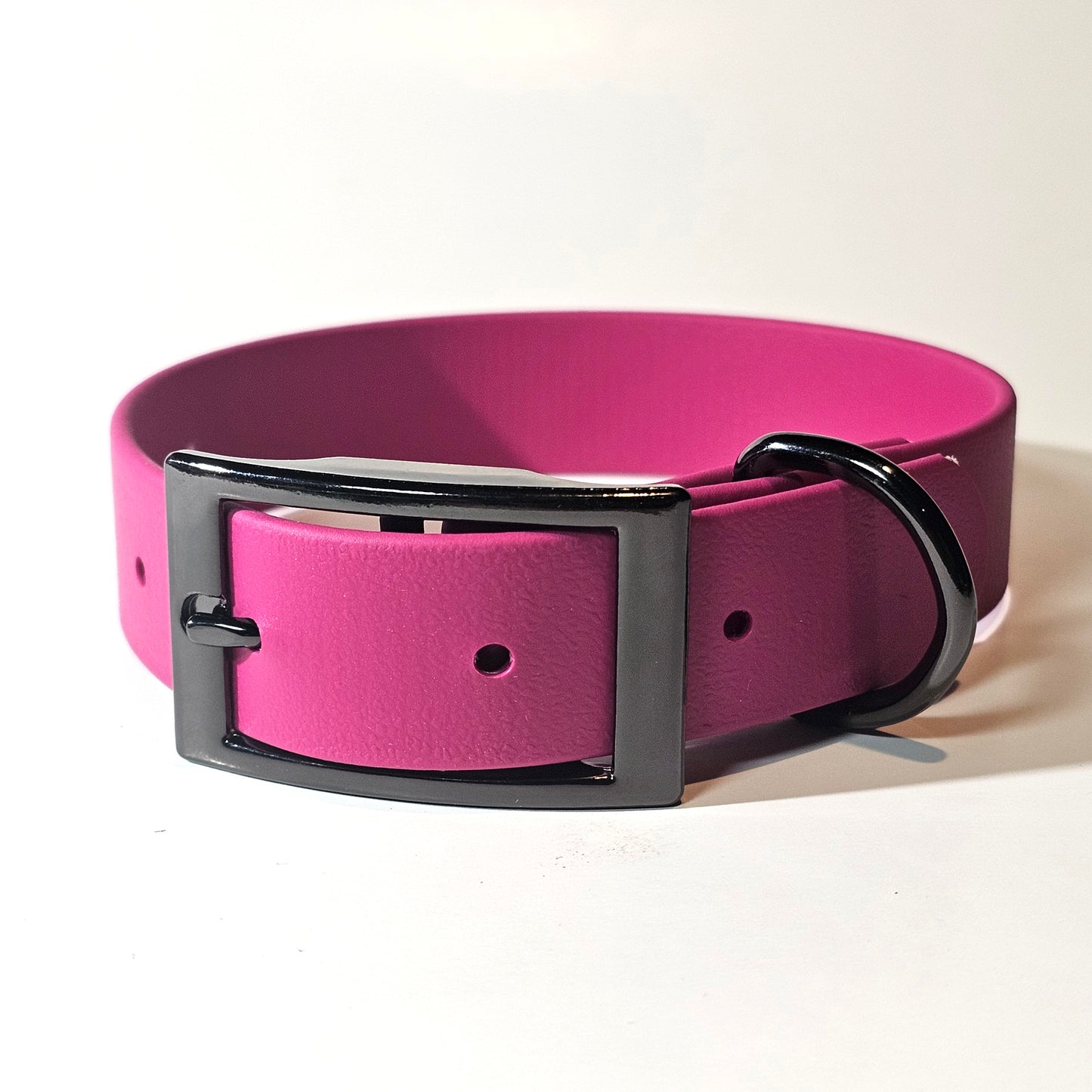 WDG Biothane Camp Collar
