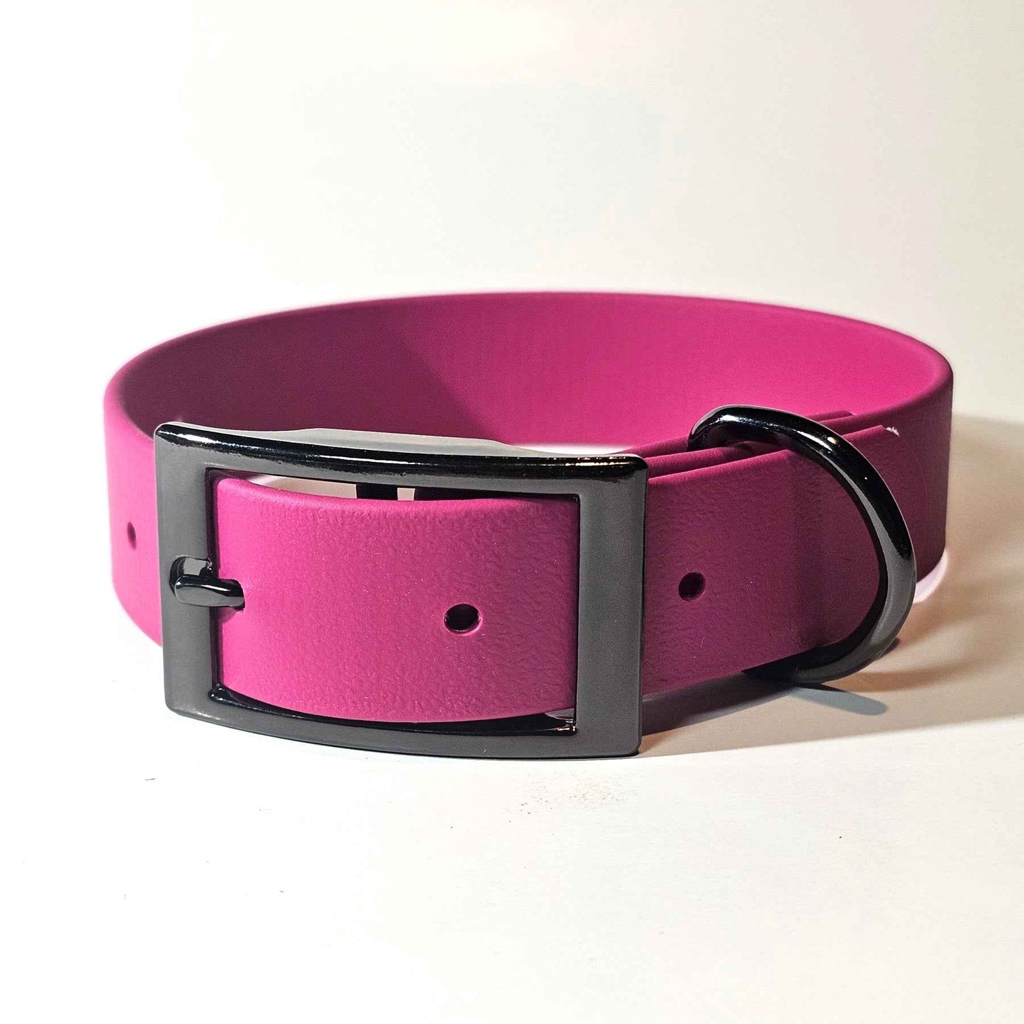 WDG Biothane® Camp Collar