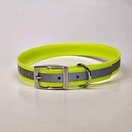 WDG Personalized Reflective Buckle Collar - 1" Biothane® Gold Standard