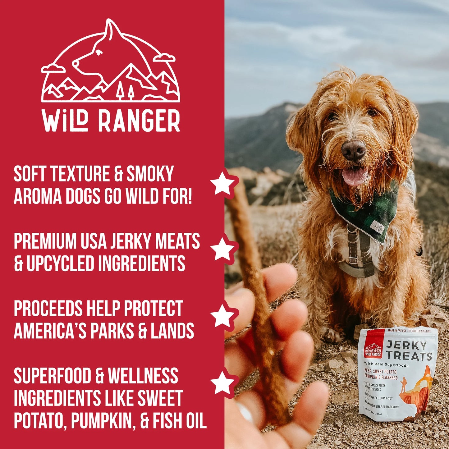 Wild Ranger BEEF & SUPERFOODS DOG JERKY TREATS 8OZ