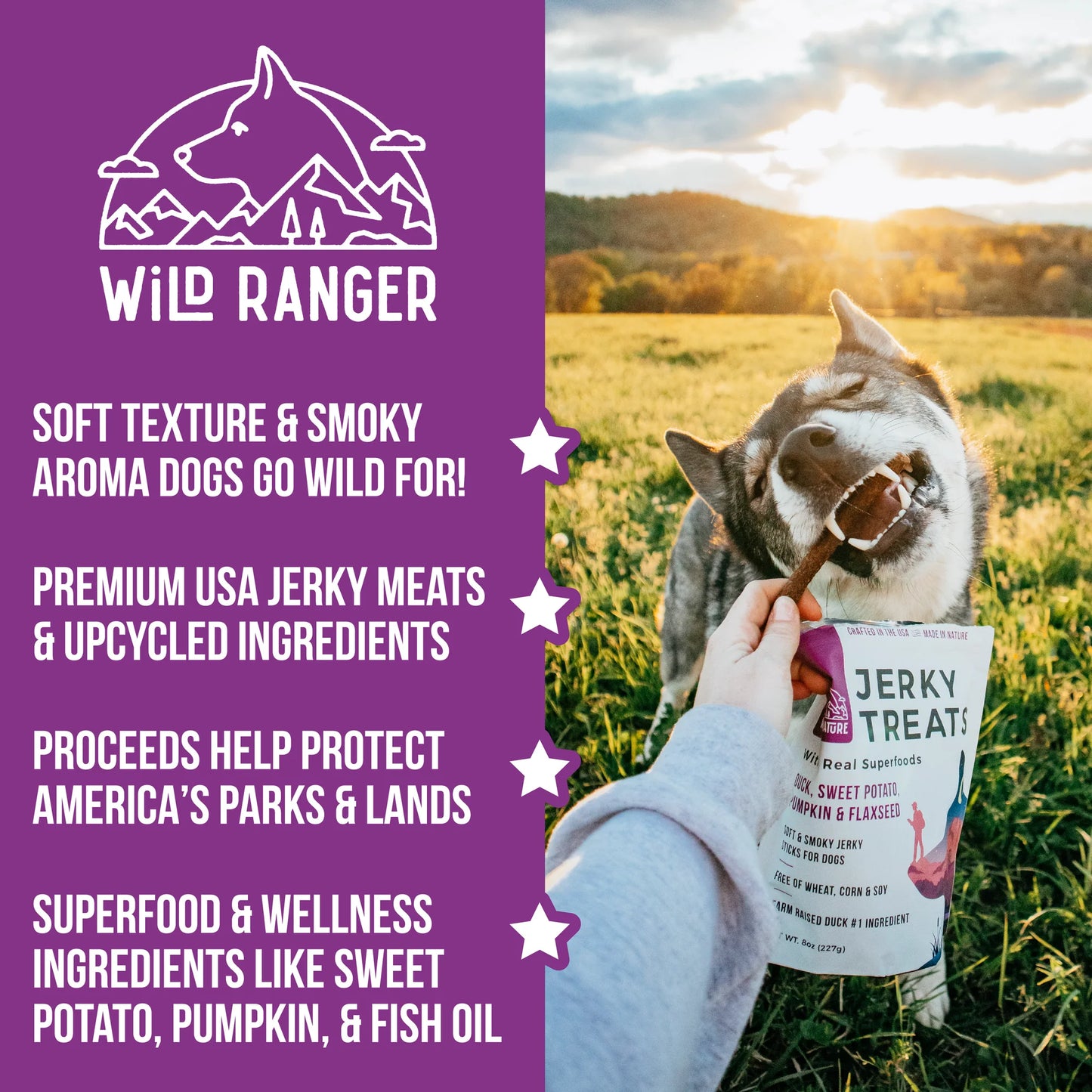 Wild Ranger DUCK & SUPERFOODS DOG JERKY TREATS 8OZ