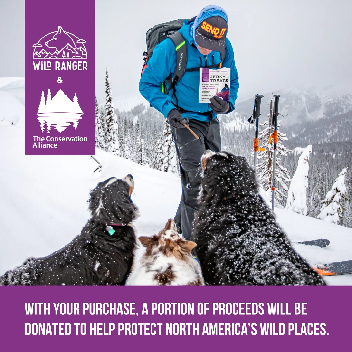 Wild Ranger DUCK & SUPERFOODS DOG JERKY TREATS 8OZ