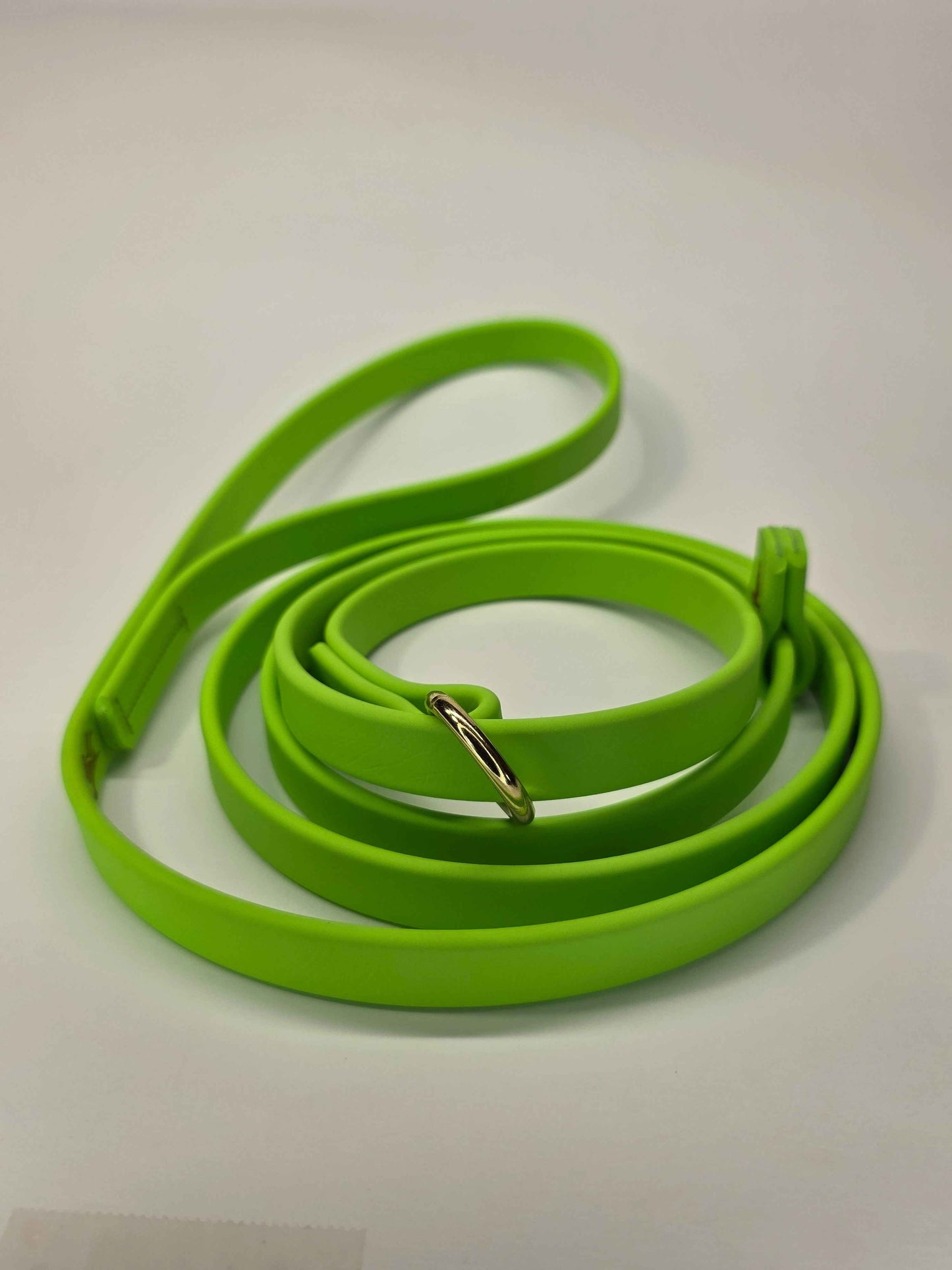 WDG 6' Super Heavy Biothane® Slip Lead