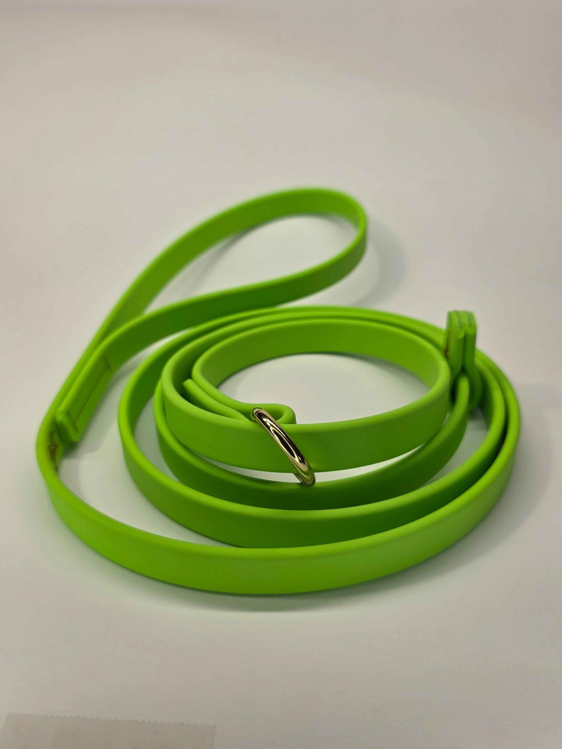 WDG 6' Super Heavy Biothane® Slip Lead