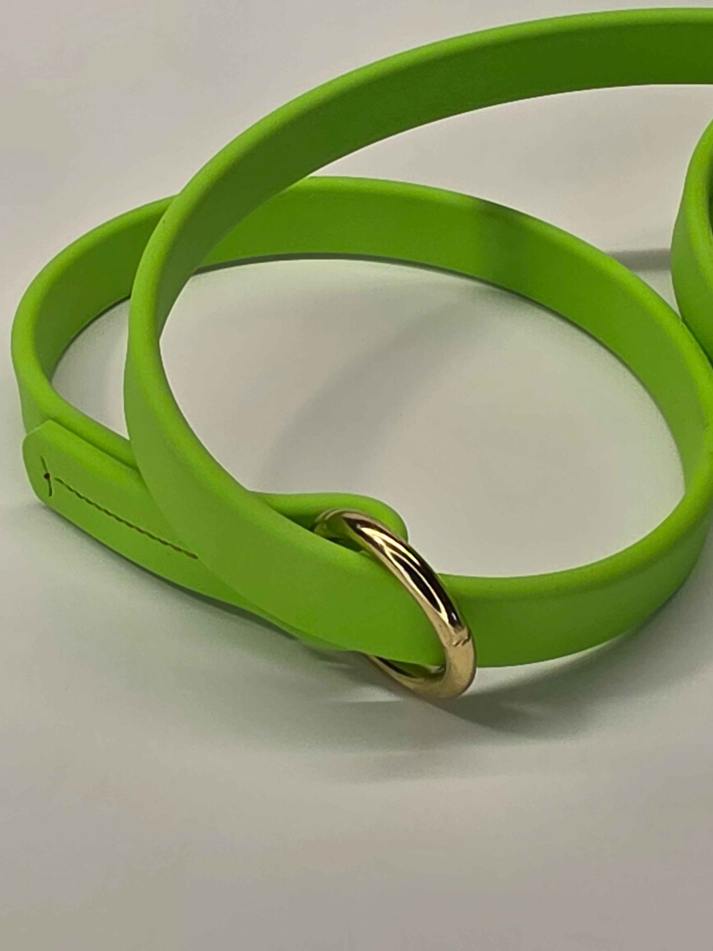 WDG 6' Super Heavy Biothane® Slip Lead