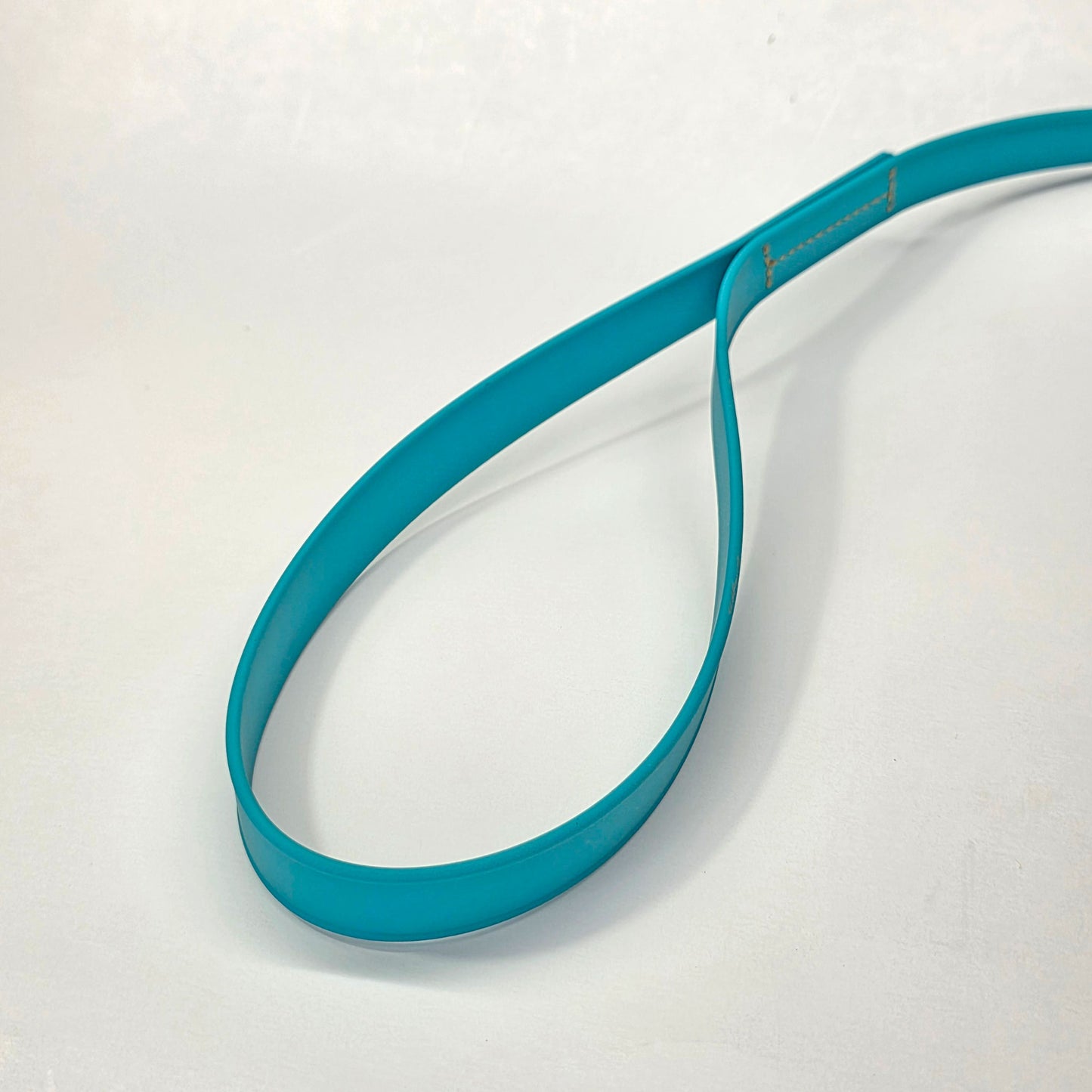 WDG 6' Adjustable BioThane® Slip Lead