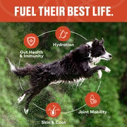 Furvor Bone Broth Topper - Beef