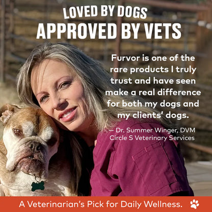 Furvor Bone Broth Topper - Beef