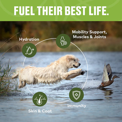 Furvor Bone Broth Topper - Mobility Support