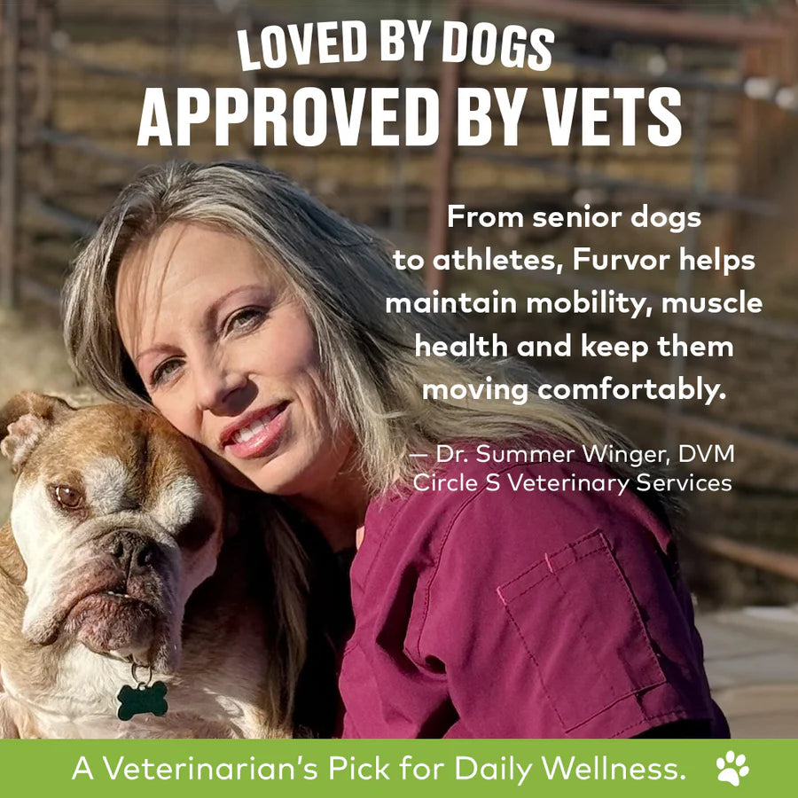 Furvor Bone Broth Topper - Mobility Support