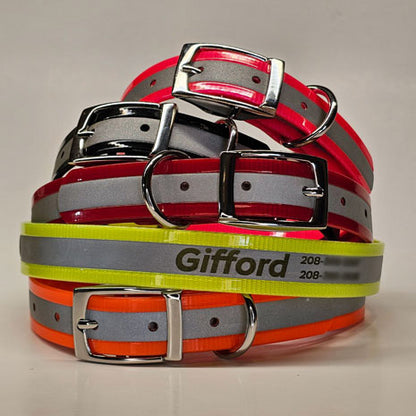 WDG Personalized Reflective Buckle Collar - 1" Biothane Gold Standard