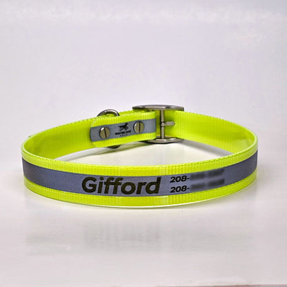 WDG Personalized Reflective Buckle Collar - 1" Biothane Gold Standard