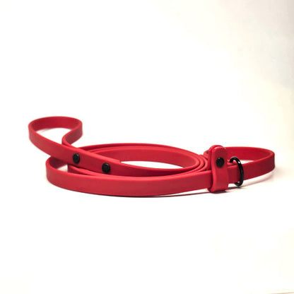 WDG 6' Super Heavy Biothane Slip Lead