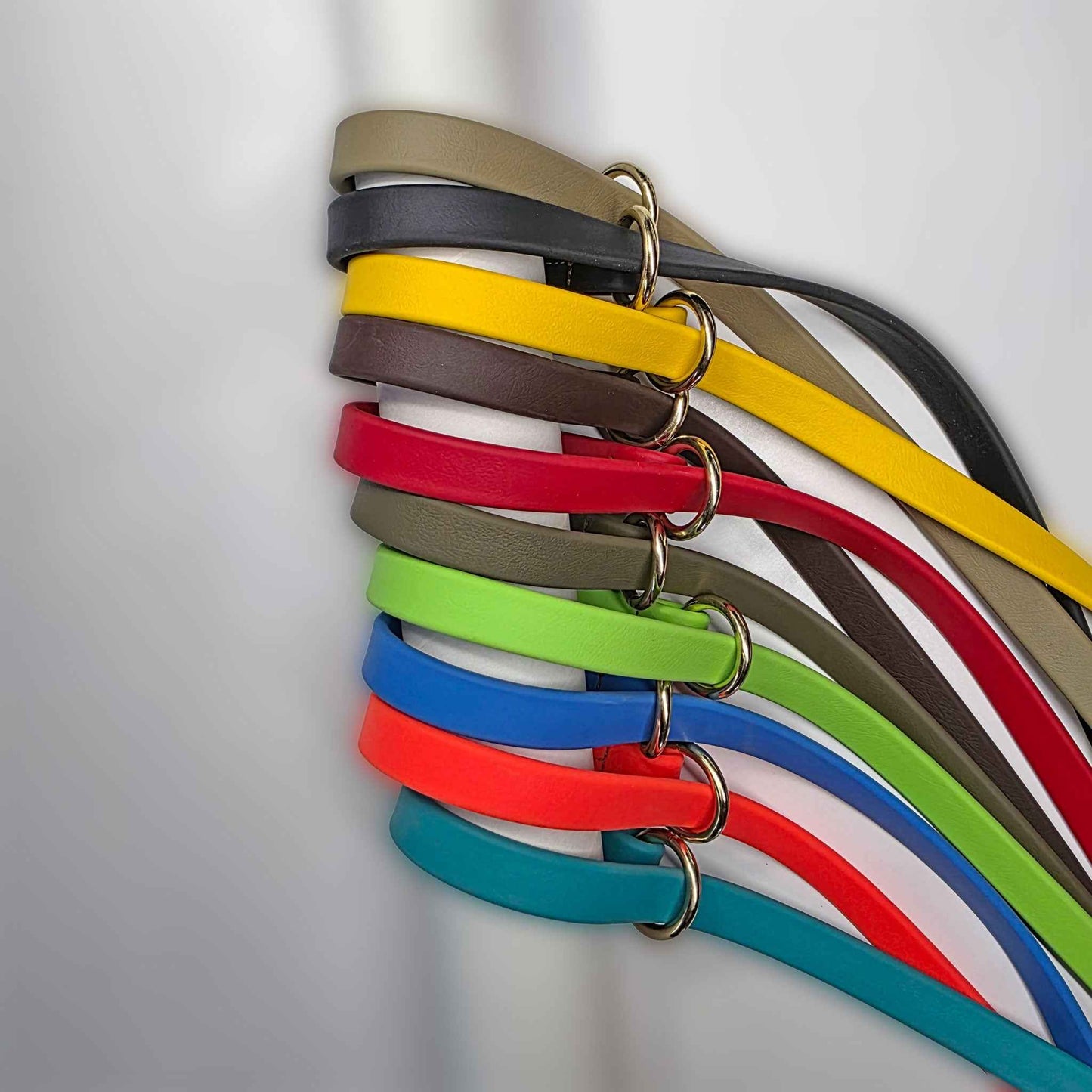 WDG 6' Super Heavy Biothane® Slip Lead